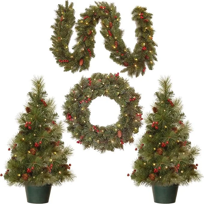 LED Lights Holiday Christmas 4-Piece Set